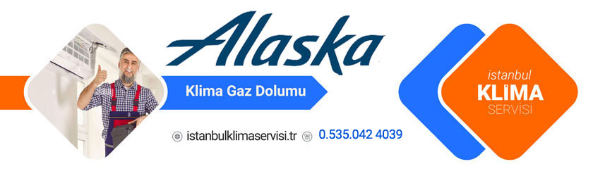 Arnavutköy Adnan Menderes Alaska Klima Servisi