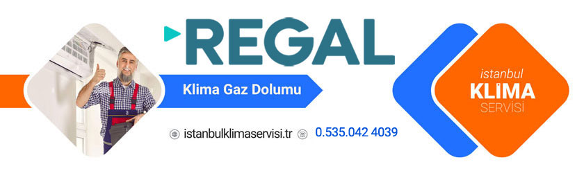 Arnavutköy Adnan Menderes Regal Klima Servisi